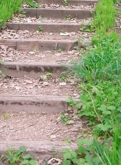 We begin our ascent to descent when we choose to do everything without help