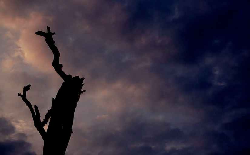 It’s Fun to&nbsp;Generalize.