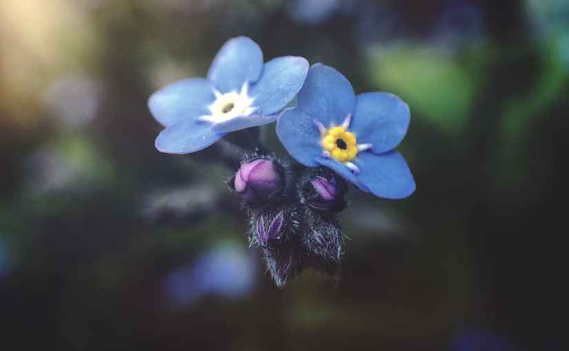 Is It Over&nbsp;Yet?