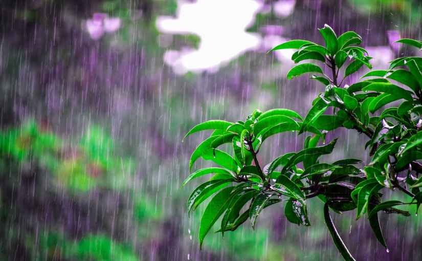 It Was A Good&nbsp;Day.