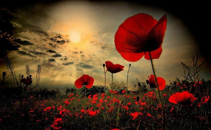 Remembrance Day