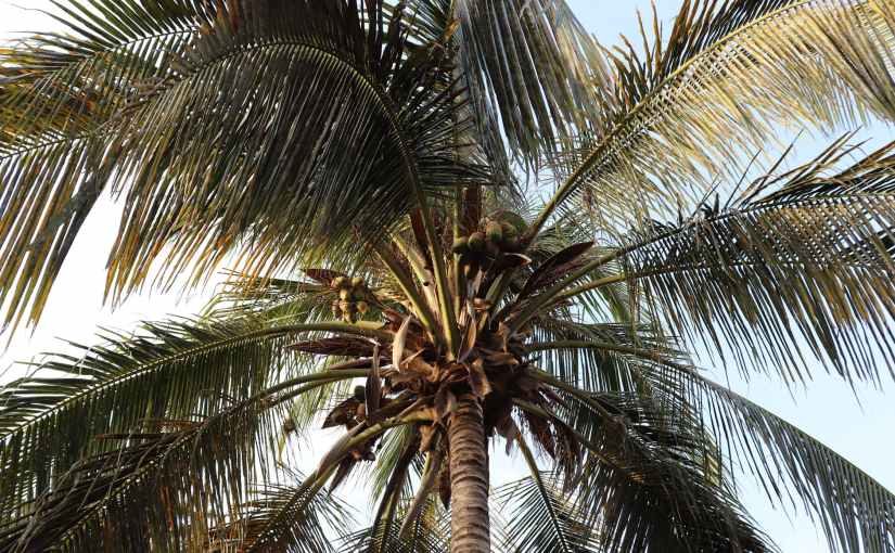 About New Year’s&nbsp;Resolutions.