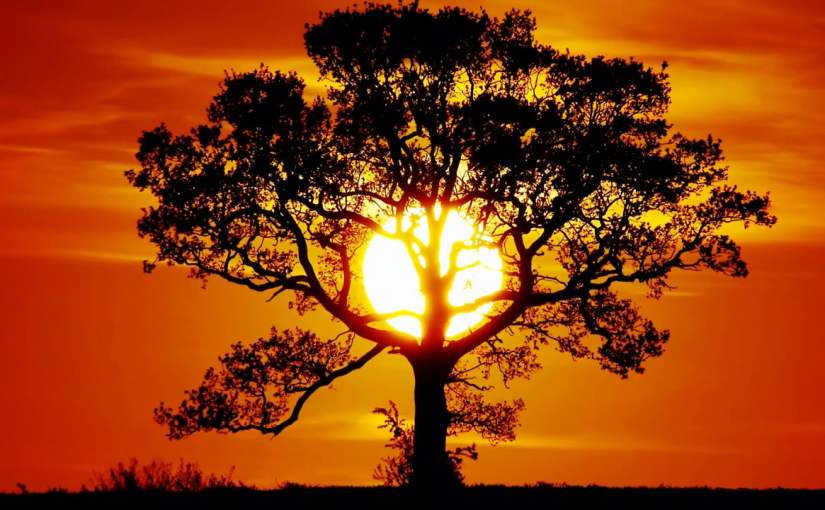 Freedom in The Holy&nbsp;Spirit.