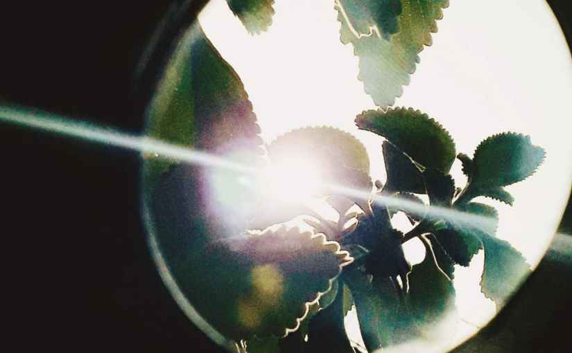 The Poor Cry&nbsp;Out