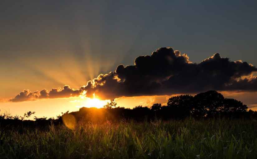 I Don’t Want to Exist, I Want to&nbsp;Live!