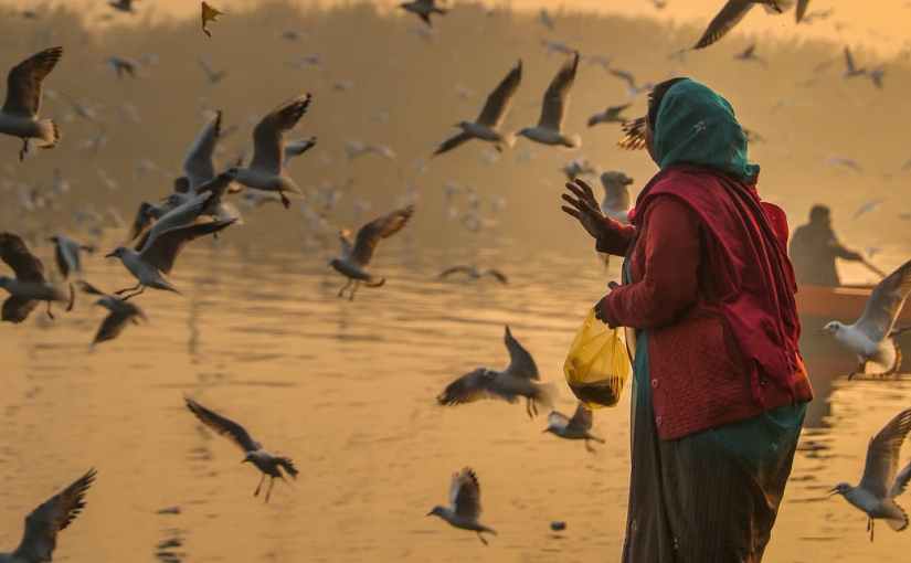 I will Feed&nbsp;You