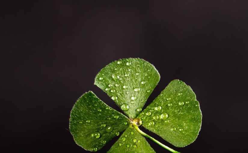 The Secret of the Lucky&nbsp;Gem?