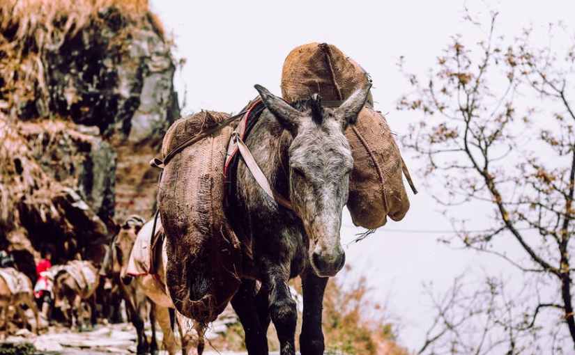 What is Required of&nbsp;You