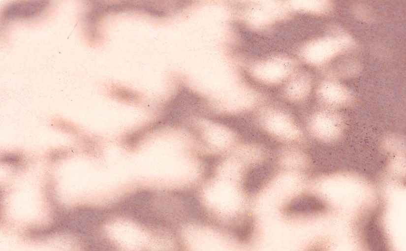 Love What You&nbsp;Have.