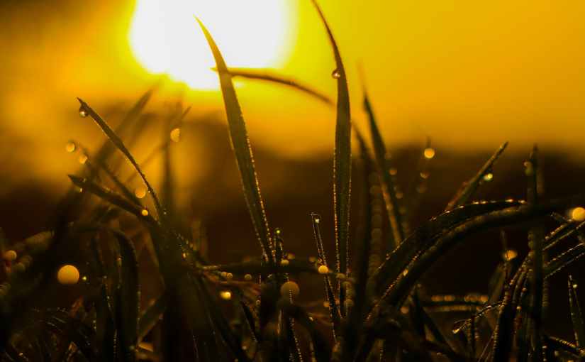 Smile Through Them&nbsp;Tears