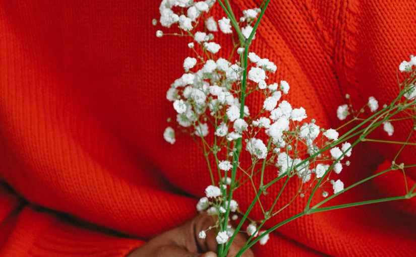 So Much Love to&nbsp;Give