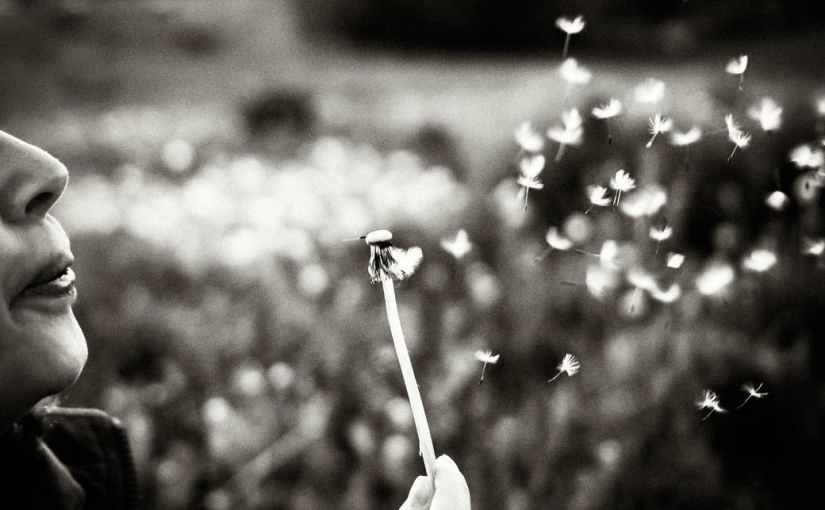 Trying to Let&nbsp;Go