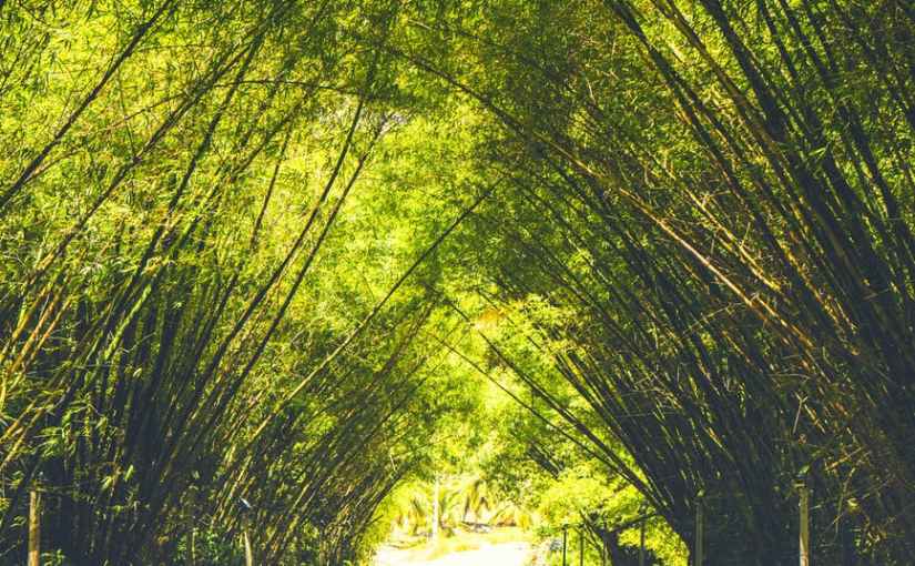 “The Road of the Dread” A Metaphor for A Time Like&nbsp;This