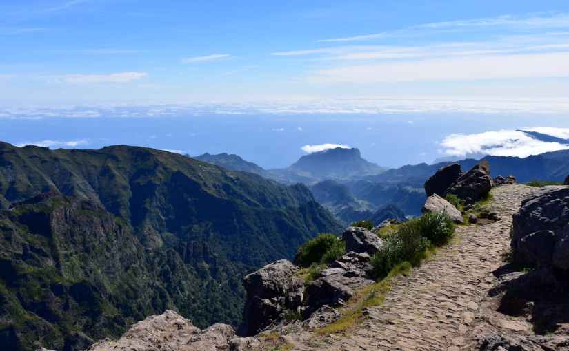 Where You Want to&nbsp;Go