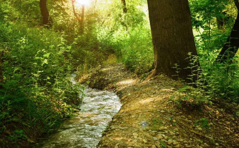 This Feels Like&nbsp;God