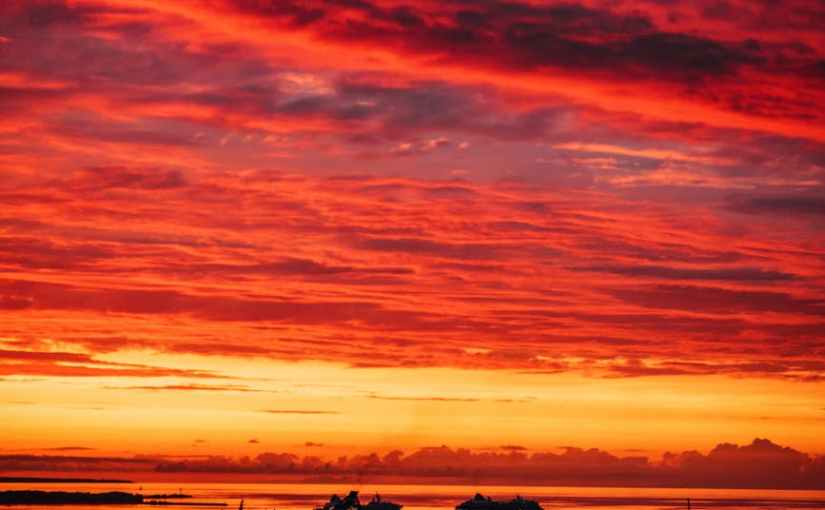 You Are Not My&nbsp;Enemy