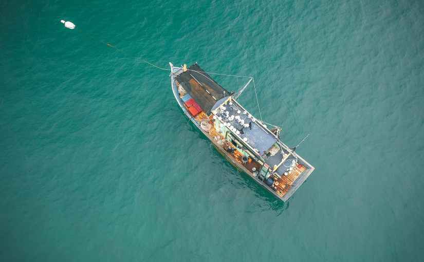 Plan, Prepare, Produce…Then What?