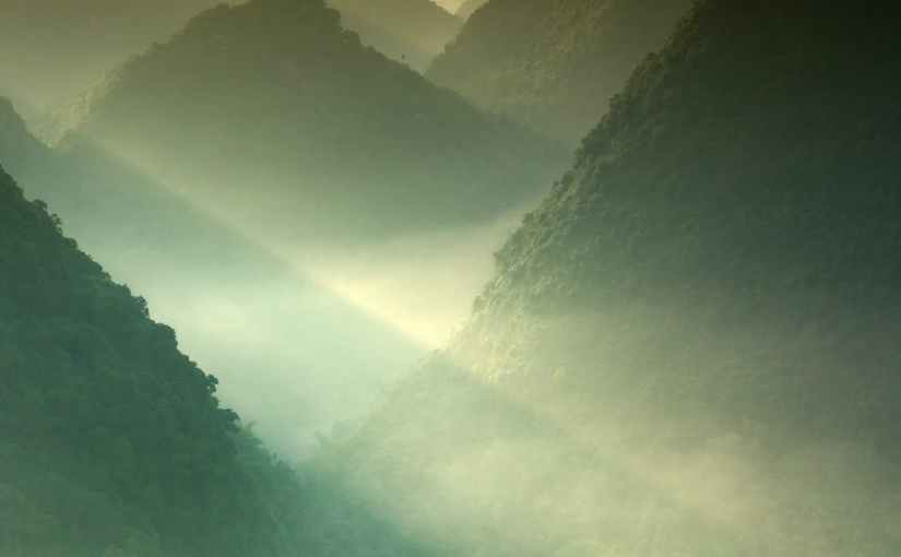 Where Your Mind&nbsp;Go