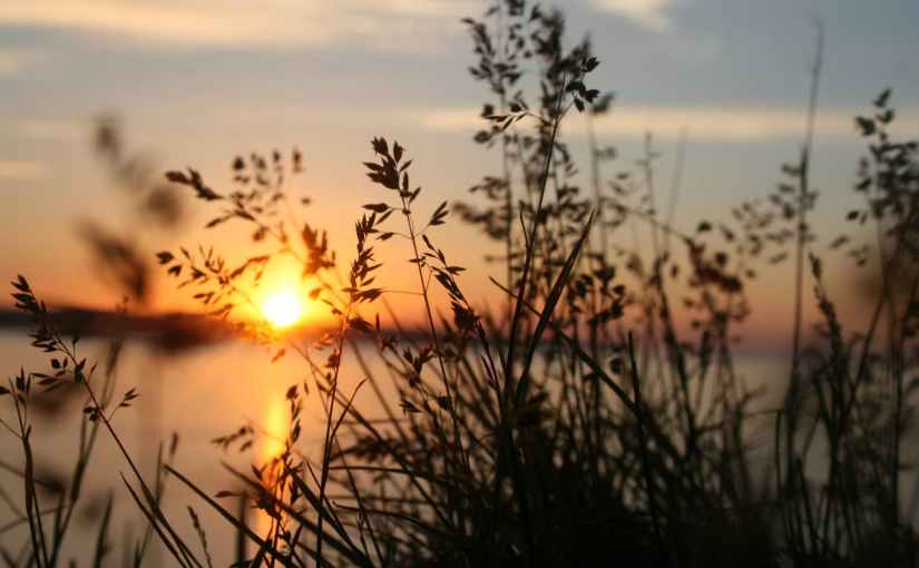 Foreigner in a Weary&nbsp;Land