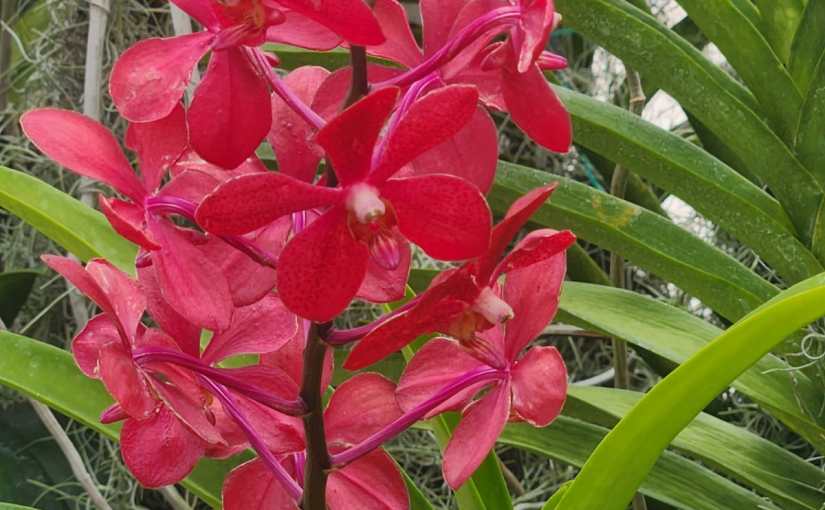 Sis… We need to let it&nbsp;go!