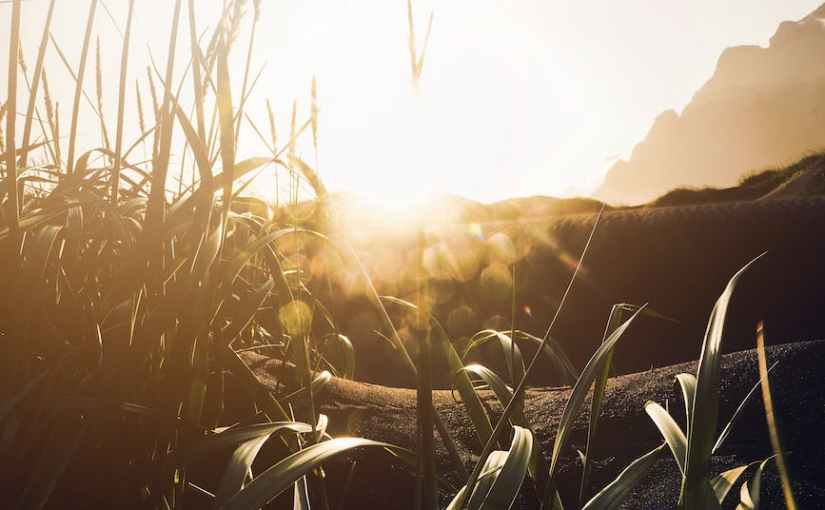 It’s Not Yourself You Doubt…It’s God